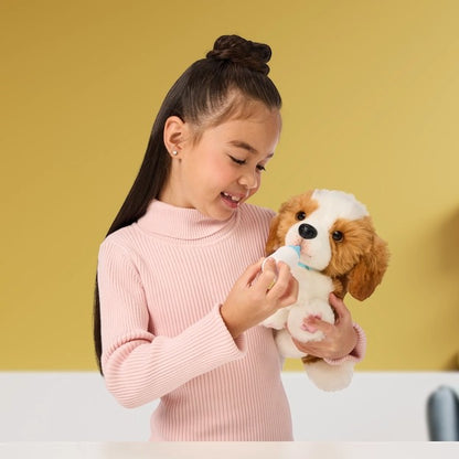 Puppy Patches in deluxe carrier that transforms into a bed