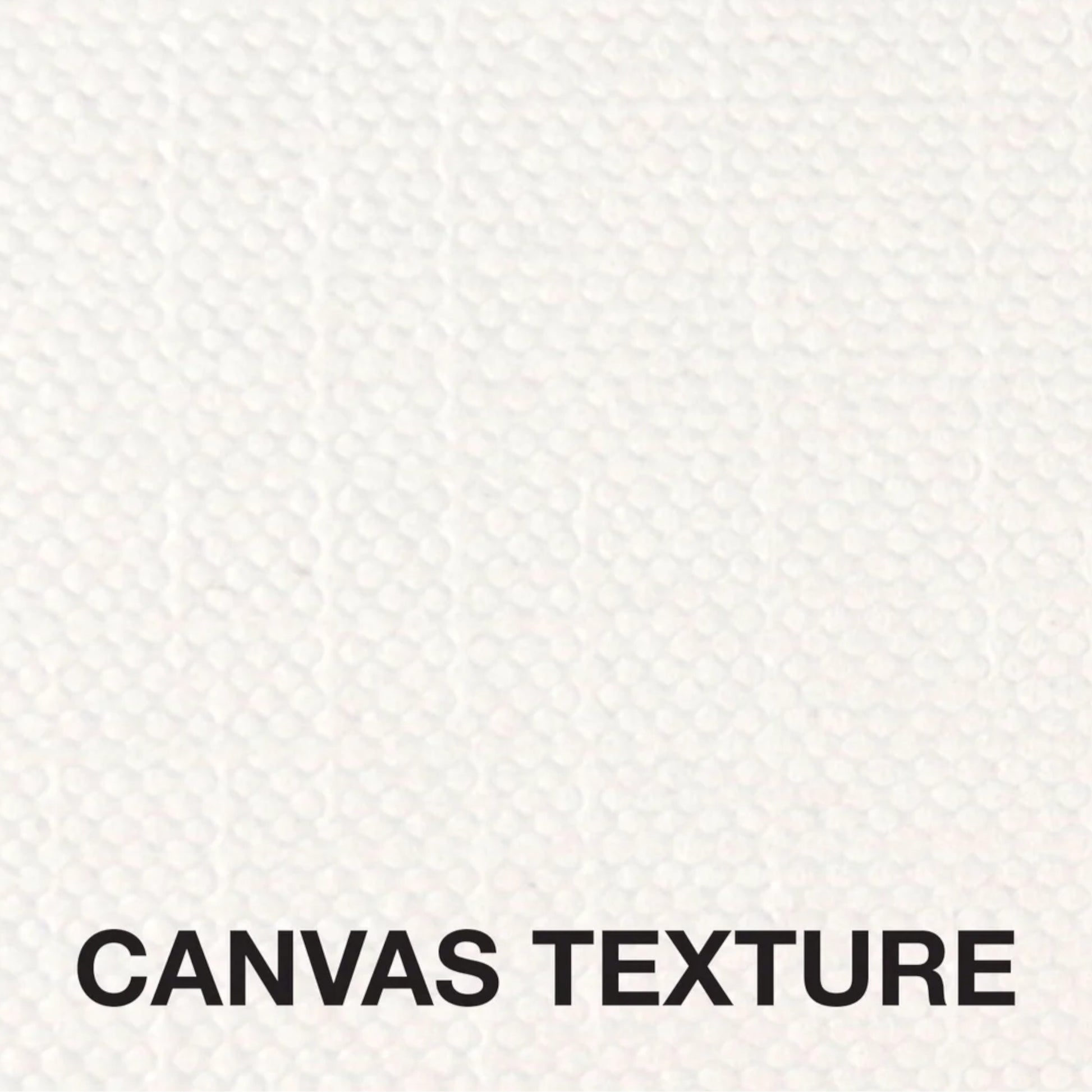 Studio Series 10-Sheet Canvas Paper Pad, featuring heavyweight canvas-textured paper for acrylic and oil painting