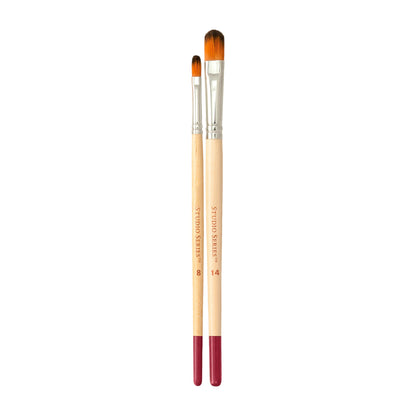 Two paintbrushes with wooden handles and red ferrules on a white background