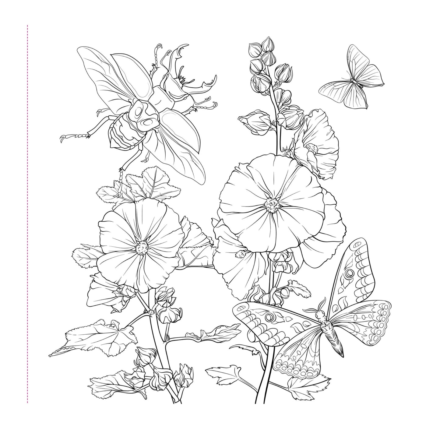 Black and white line drawing of flowers and insects on a white background