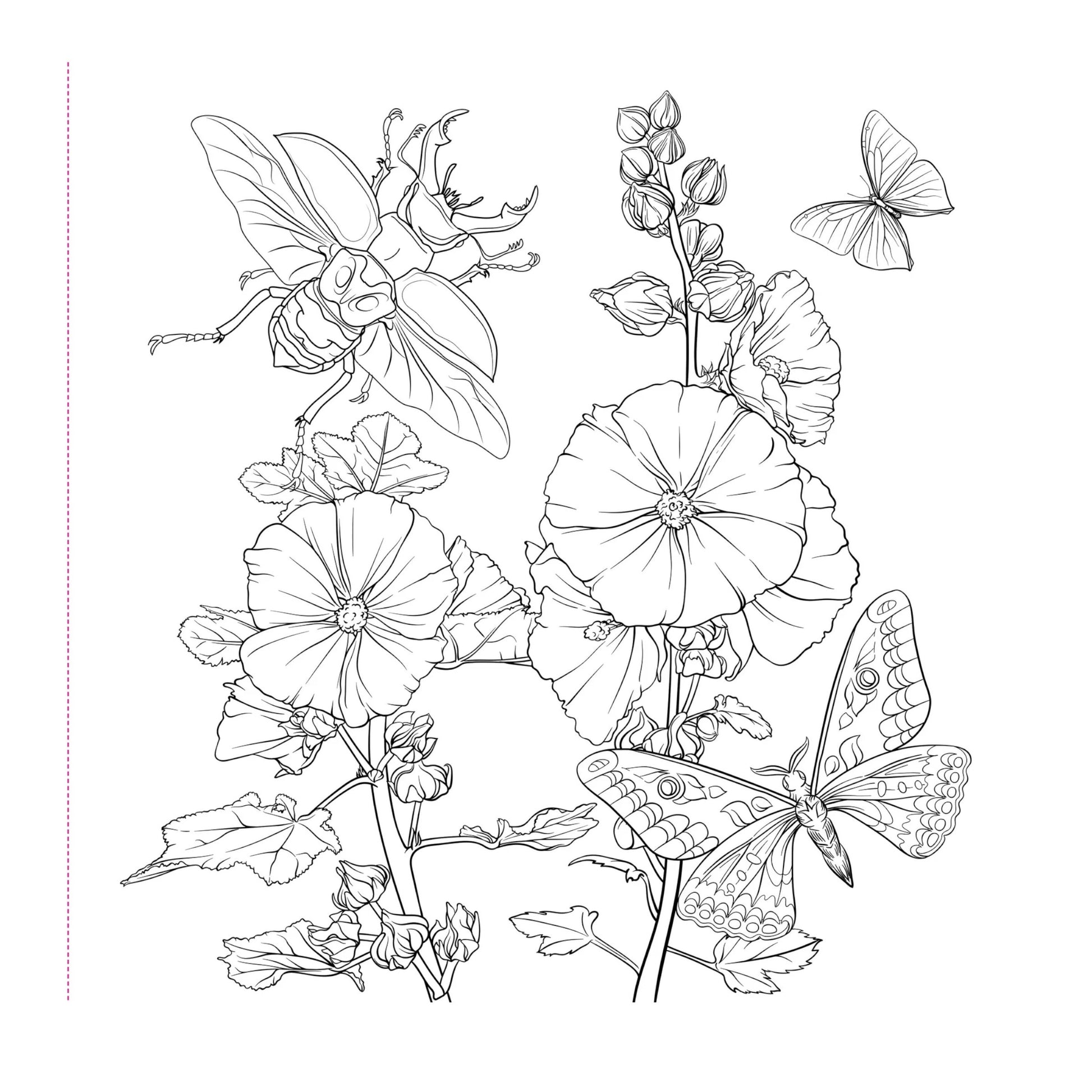 Black and white line drawing of flowers and insects on a white background