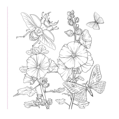 Black and white line drawing of flowers and insects on a white background
