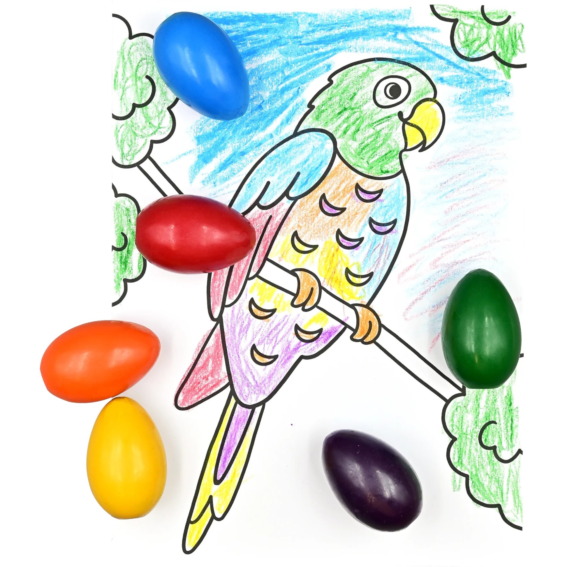 Colorful parrot drawing with colored eggs on a white background